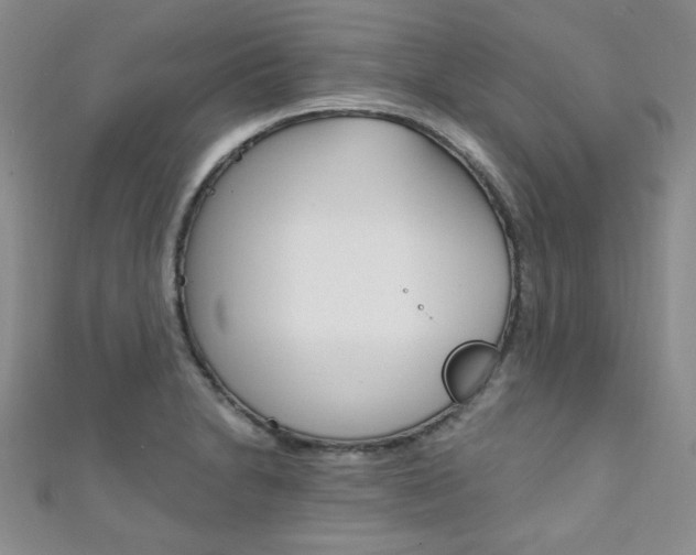 X0000111151230200906301031