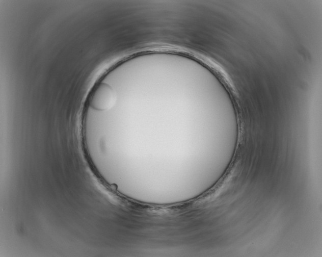 X0000111151231200906301031