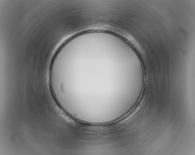 X0000111151232200906301031