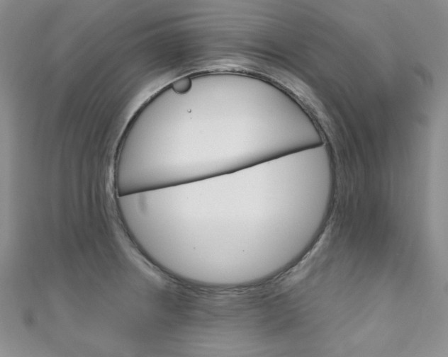 X0000111151234200906301031