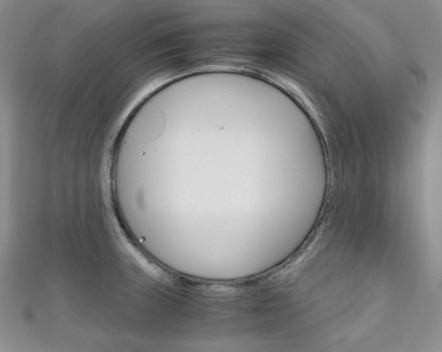 X0000111151235200906301031