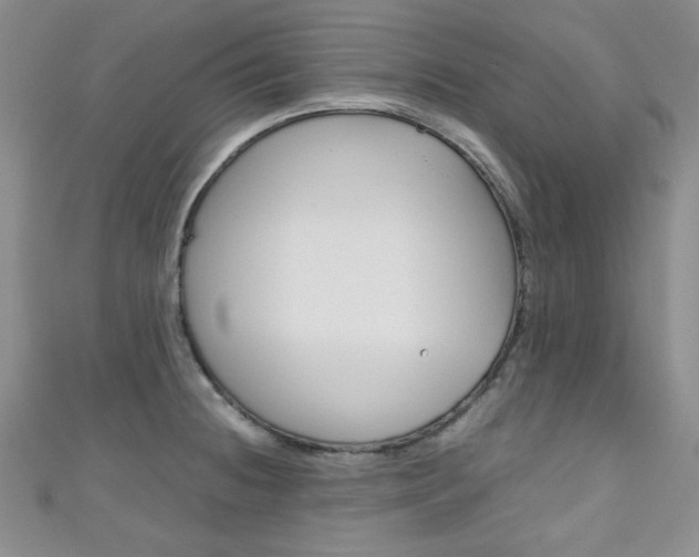 X0000111151236200906301031
