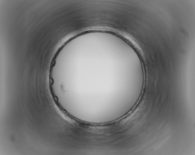 X0000111151237200906301031