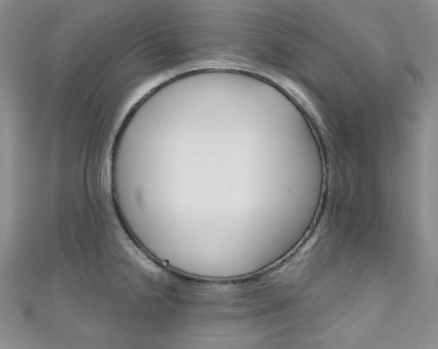 X0000111151238200906301031