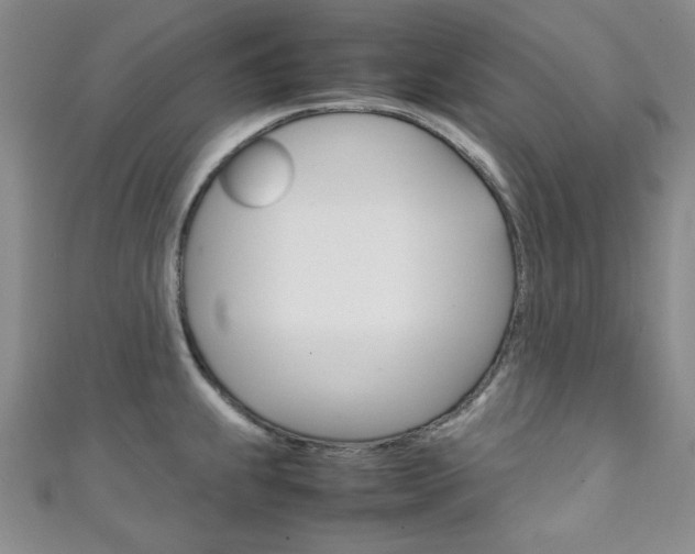 X0000111151239200906301031