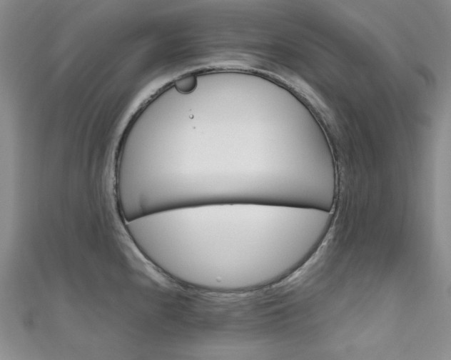 X0000111151240200906301031