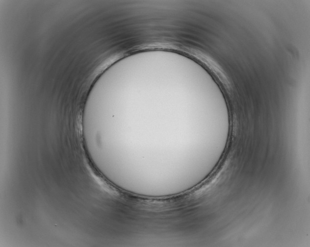 X0000111151241200906301031