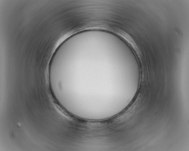 X0000111151242200906301031