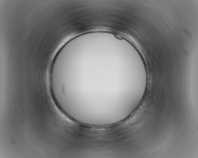 X0000111151243200906301031