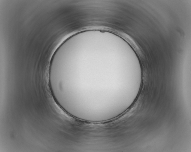 X0000111151244200906301031