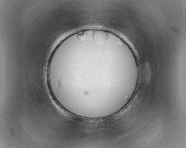 X0000111151245200906301031
