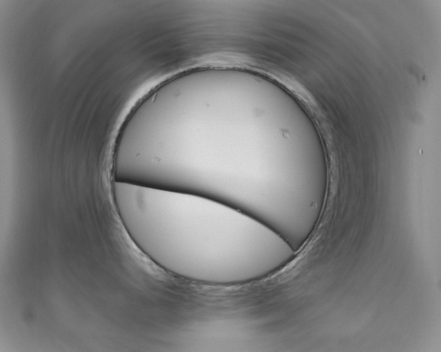 X0000111151248200906301031