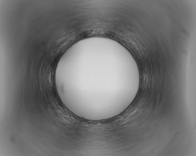 X0000111151250200906301030