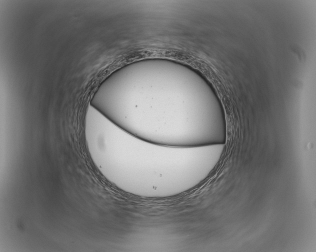 X0000111151253200906301030
