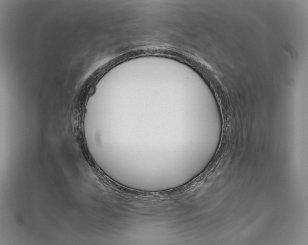 X0000111151255200906301030