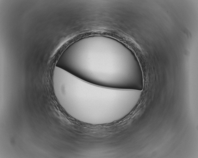 X0000111151256200906301030
