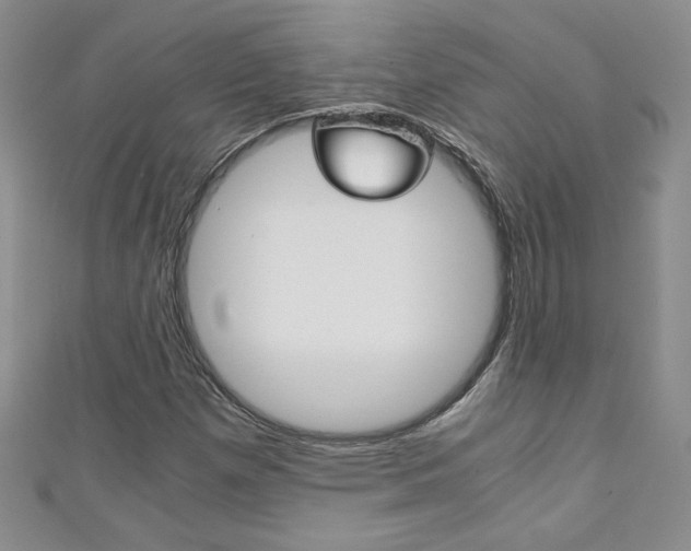 X0000111151257200906301030