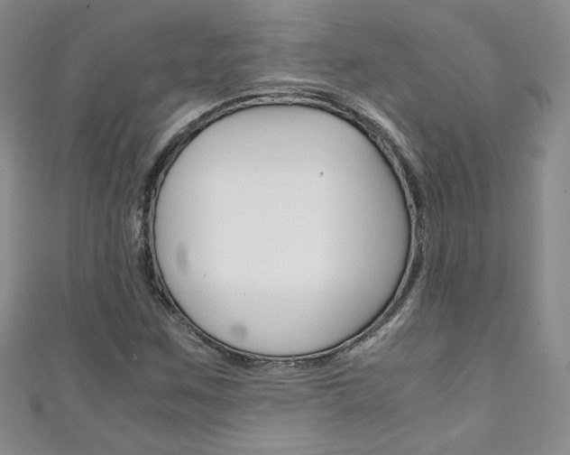 X0000111151259200906301030