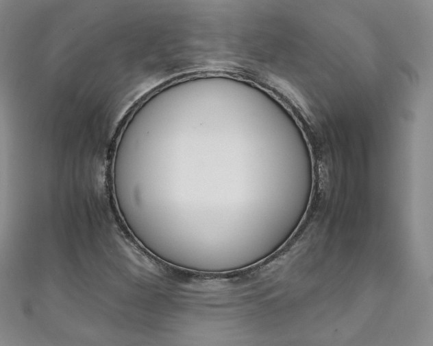 X0000111151260200906301030