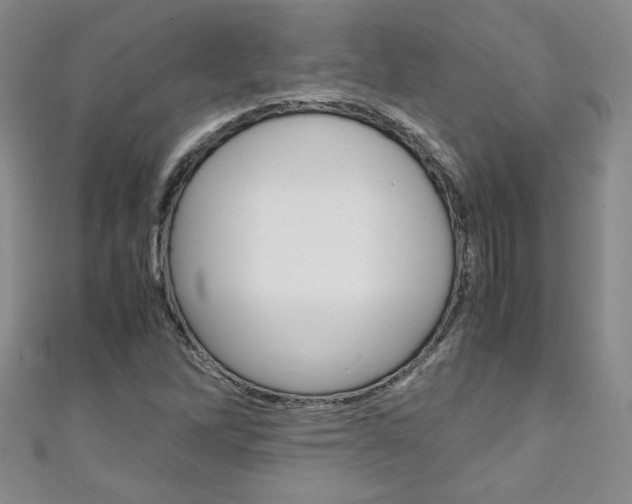 X0000111151262200906301030