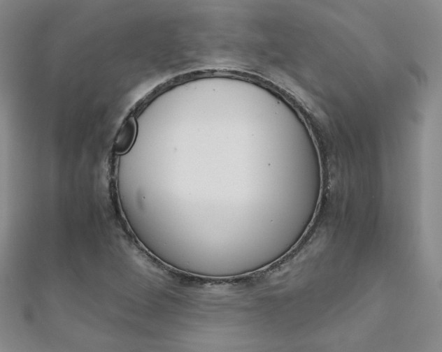X0000111151264200906301030