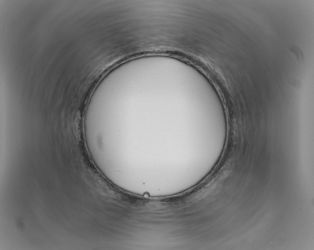 X0000111151265200906301030