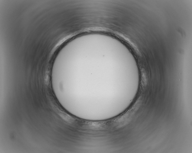 X0000111151266200906301030