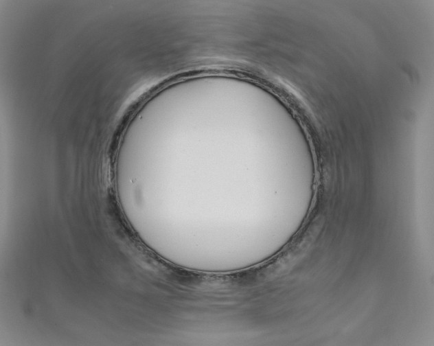X0000111151267200906301030