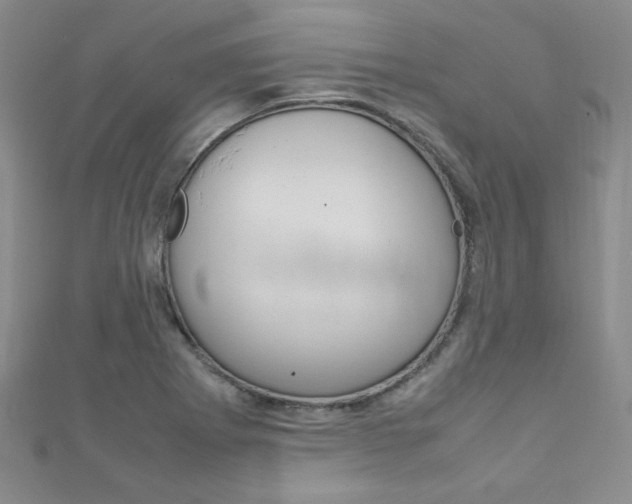 X0000111151273200906301030