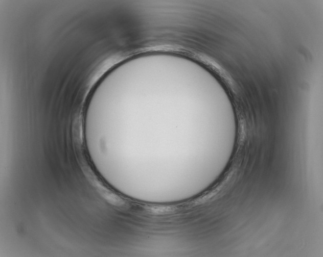 X0000111151274200906301030