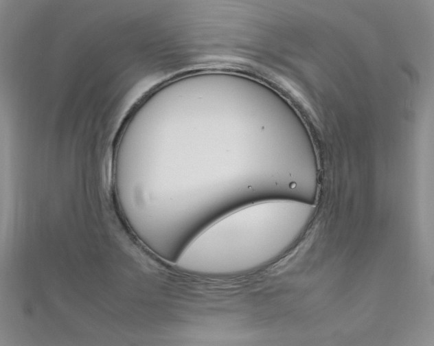 X0000111151275200906301030