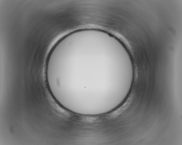 X0000111151278200906301030