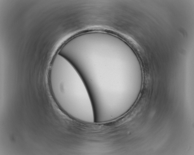 X0000111151279200906301030
