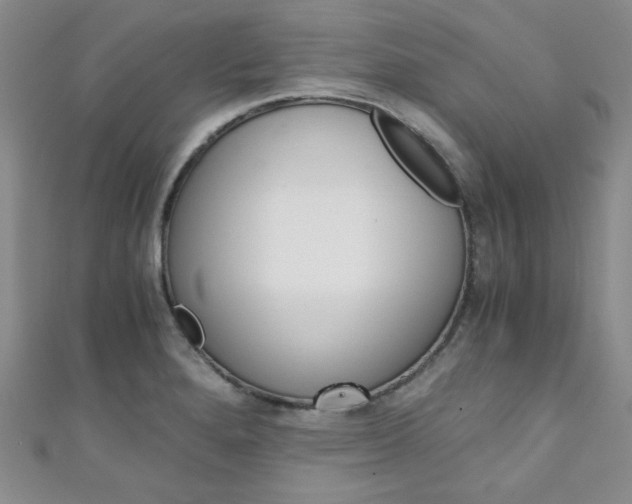 X0000111151280200906301030