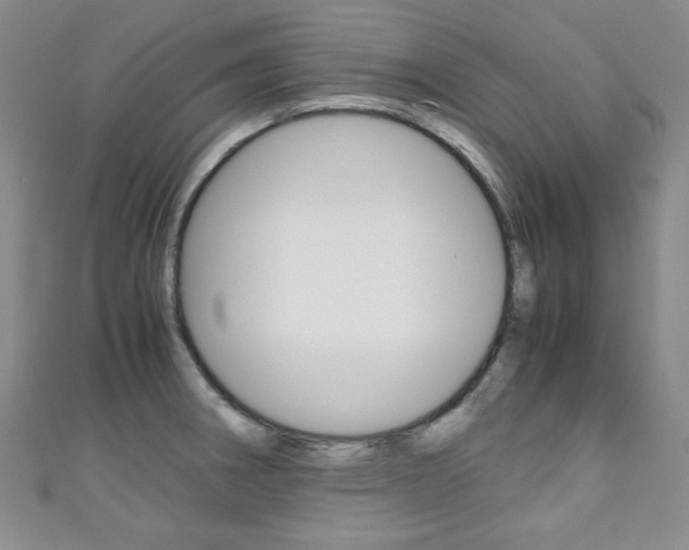 X0000111151282200906301030