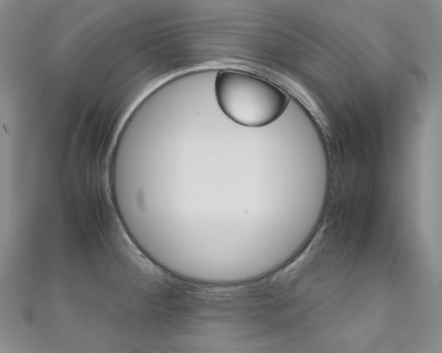 X0000111151284200906301030