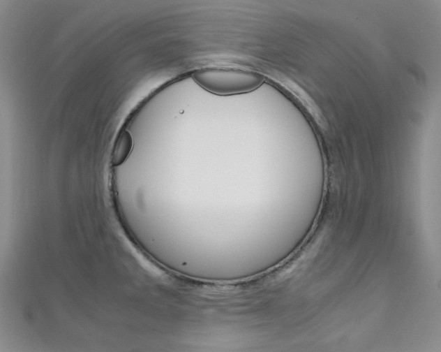 X0000111151285200906301030