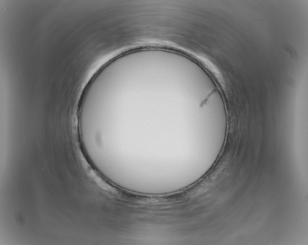 X0000111151287200906301030