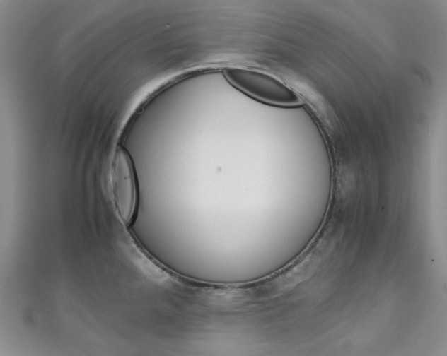 X0000111151288200906301030