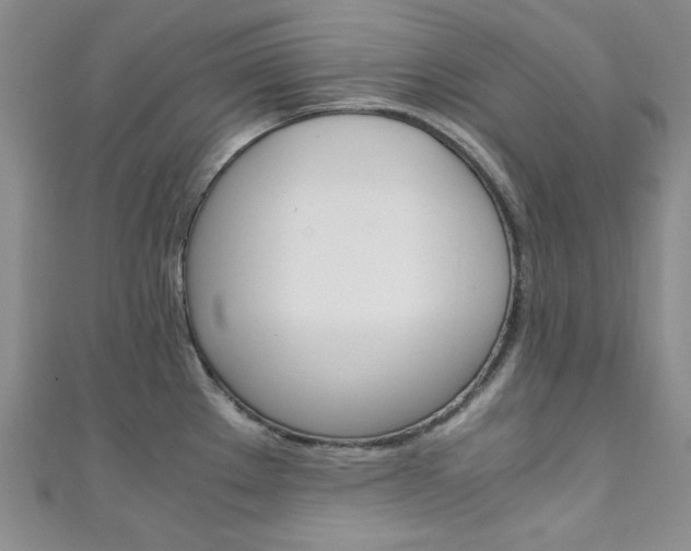 X0000111151289200906301030