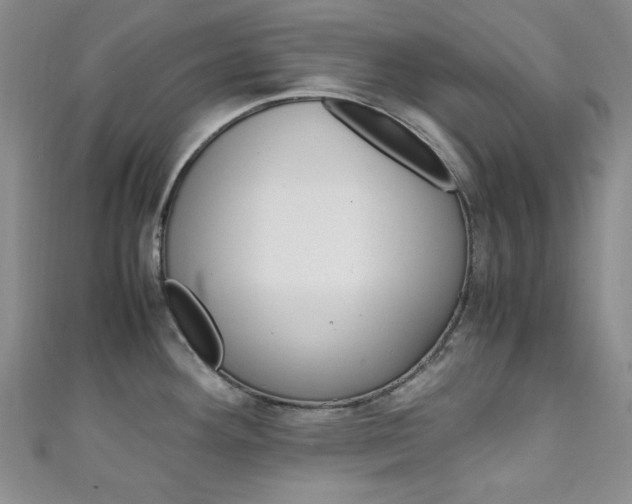 X0000111151292200906301030