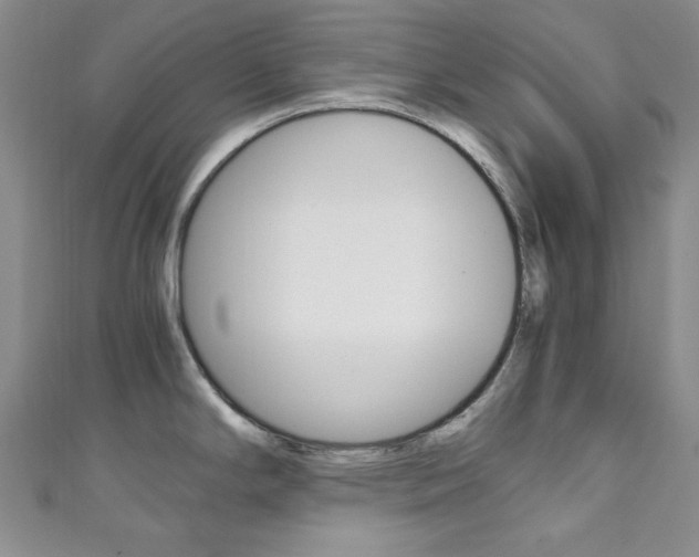 X0000111151294200906301030