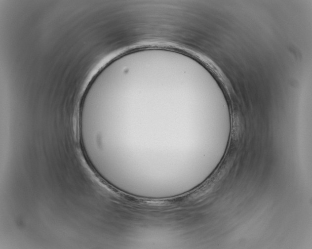 X0000111151295200906301030