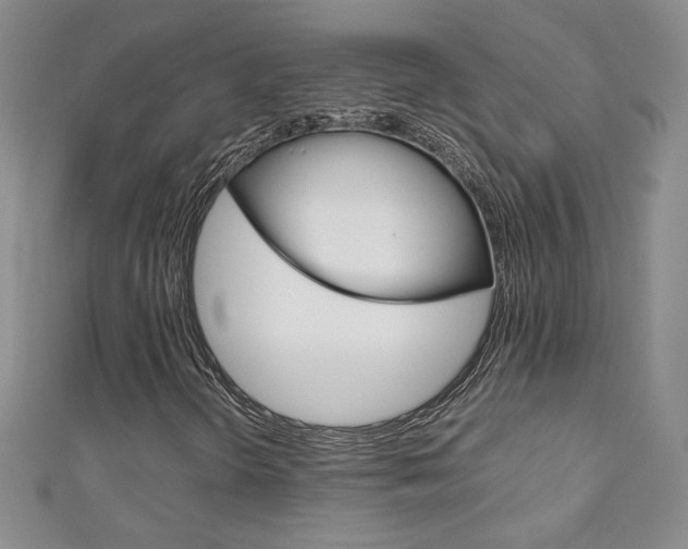 X0000111151298200906301029