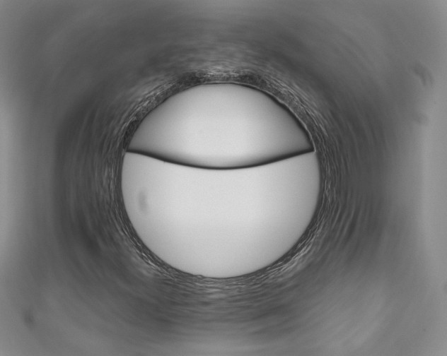 X0000111151300200906301029