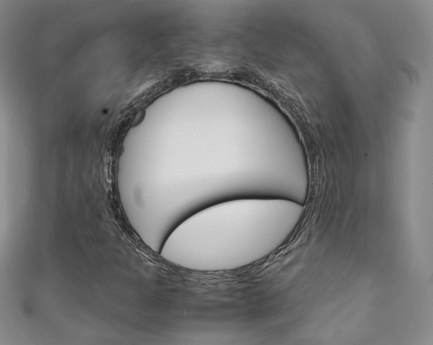 X0000111151301200906301029