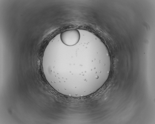 X0000111151302200906301029
