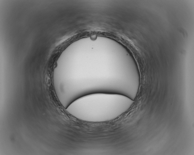 X0000111151303200906301029