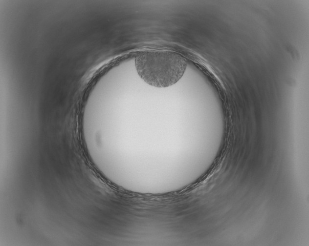 X0000111151304200906301029