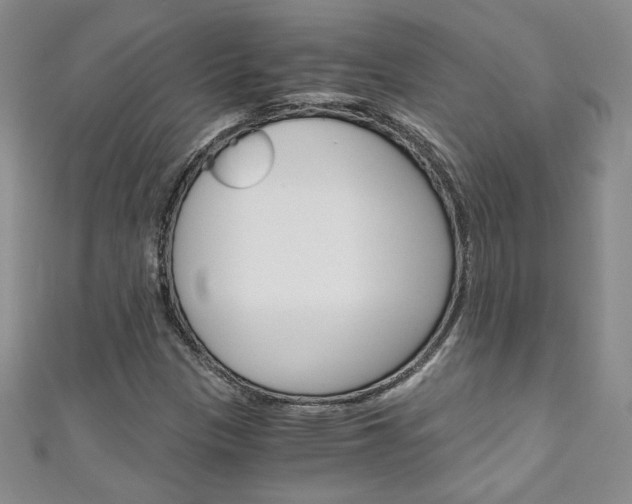 X0000111151305200906301029